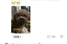 男子冲动踢狗，女子持刀质问，网友：文明养狗，和谐共处！图片