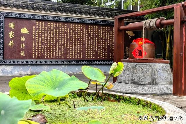 获评3A级景区，城固酒业打造区域酒企文旅突围“实战样本”