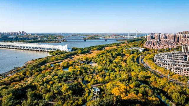 童话世界！深秋的生态城，美成了一幅画