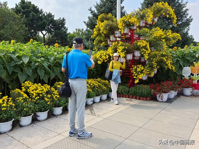 辽宁文旅交出亮眼答卷 多元文化场景勾勒鲜活“辽味儿”