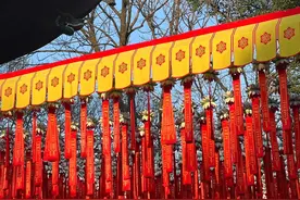 生肖蛇：十蛇九富！1965年属蛇人的晚年命运，今年过后意想不到！图片