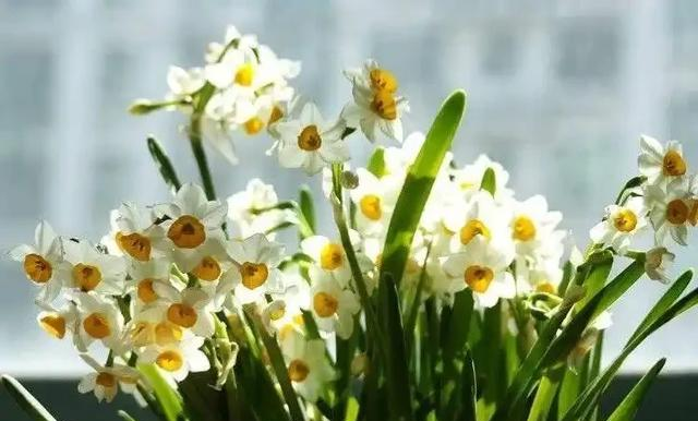 男人触摸女人这里，比亲吻、拥抱都上头，你知道吗？