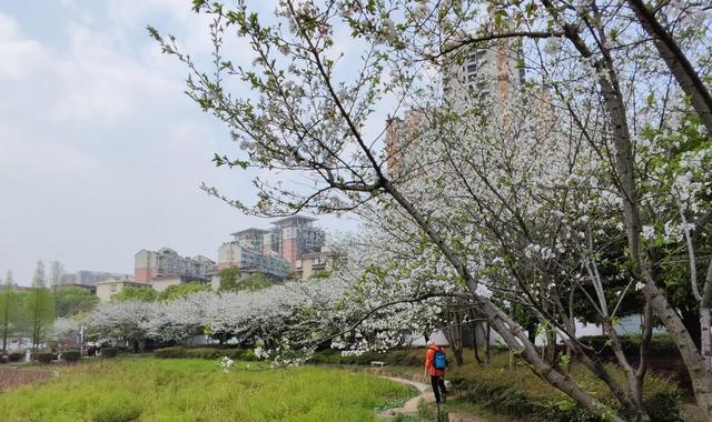 如果你疲惫了，就回老家看看，那里有你童年的味道和家的温暖