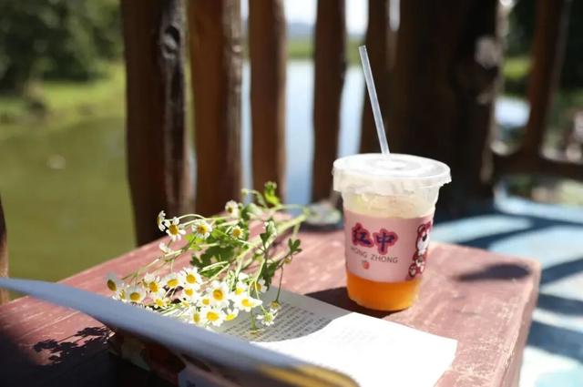 格桑花、紫花风铃木、雪白油茶花……肇庆这里太美了！