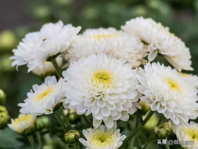 我同居过7位女性	，发现女人40岁后找伴侣，无非就这3个“实在话”