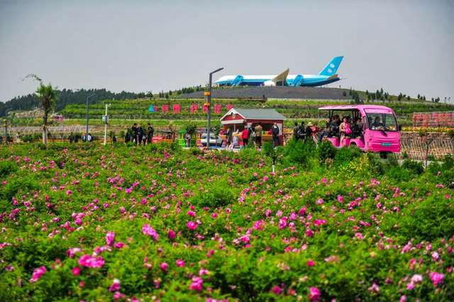 《济南中医药文化旅游》地图出炉！30个中医药文化宝藏地别错过！