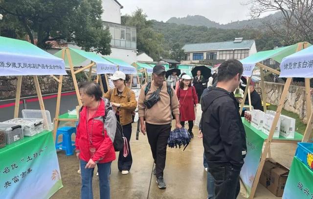 驼铃响江南~阿拉善驼队走进绍兴坡塘村，村书记大呼“我们成骆驼村啦！”