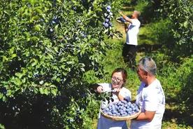 尖草坪区：美丽乡村韵味浓图片