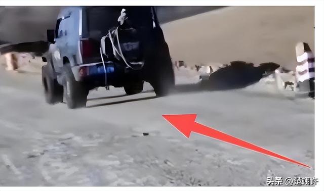 女子开车碾压草场后续：扬言撞死牧民，真实身份被扒，公司被牵连