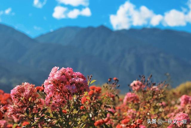 错爱一生（十）