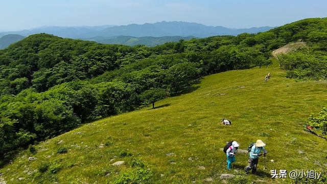 两次本溪南岭徒步记｜高山草甸，湖池松林，我被南岭种草
