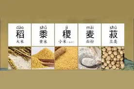 “五谷”指的是什么？图片