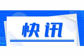 大连一游客粗暴抓摔多只海鸥，海鸥挣扎嘶鸣，目击者：他还把鸟摔在屎上图片