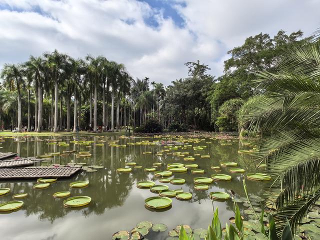 畅游植物王国 体验傣族风情