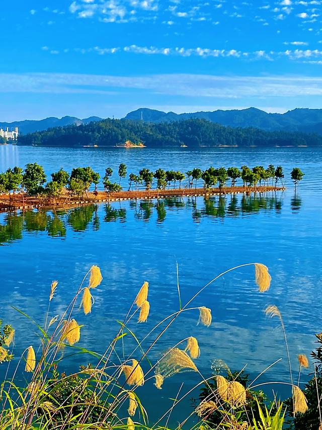 广东哪里赏秋？四条绝美自驾路线遇见南国红叶黄叶