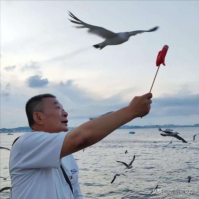 七月闲云行：沿海行记事