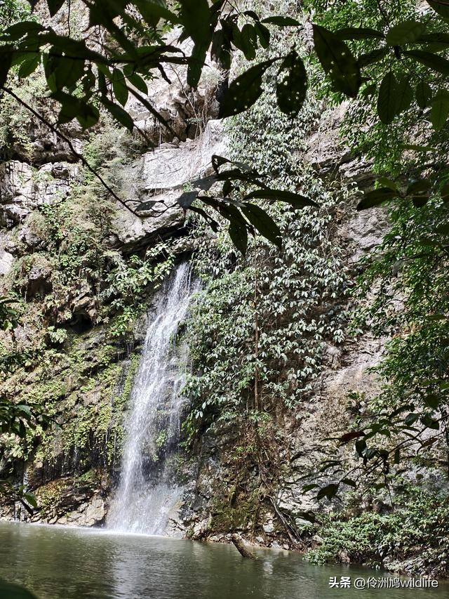 马来西亚(30)砂拉越州④姆鲁山徒步线路