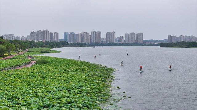 四川省船山区历史沿革及行政区划