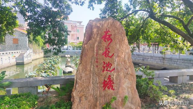 东莞万江拔蛟窝村：白鸠化蛟的六百年传奇‌