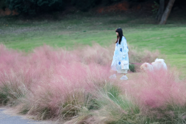 组图：深秋粉黛 邂逅城中小浪漫