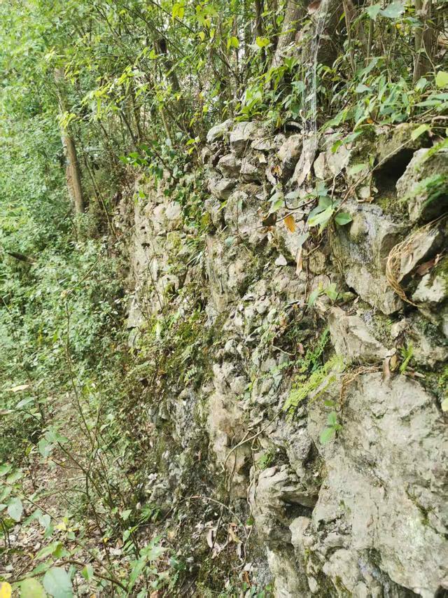 遵义新蒲：清乘桥头“临江寺”