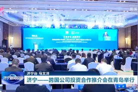 济宁——跨国公司投资合作推介会在青岛举行图片