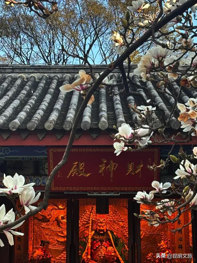 新晋顶流!「阴丹蓝+初雪白」,冬日昆明继续上分,你该换屏保了~