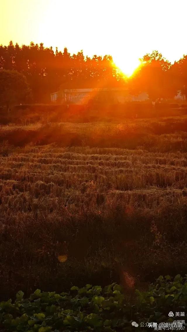 浙处丹霞地貌秋色斑斓超壮观，秋日必打卡之地！
