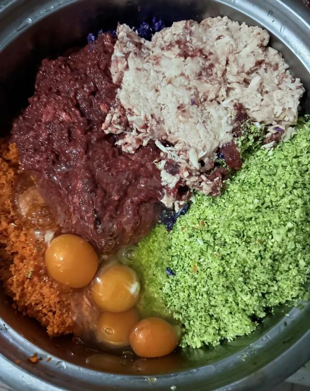 笑死了！女子喂烤肠店老板的狗吃烤肠，老板：那不干净，别给它吃