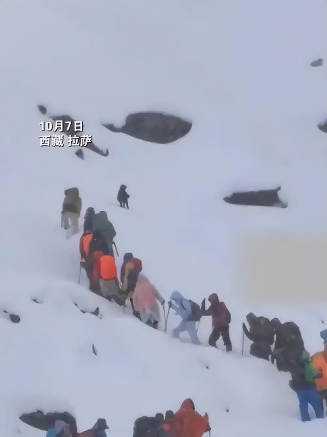 珠峰暴雪围困！向导血肉之躯开生路，百人奇迹生还，拒收天价酬金