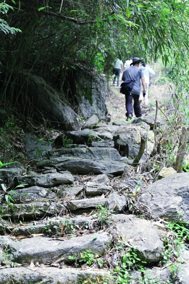 跟着“中国第一旅游博主”，打卡富阳万市古道！