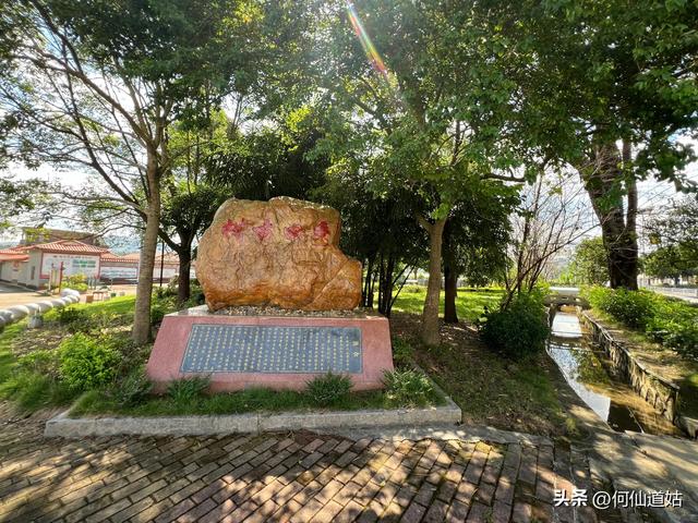 新丰秀田，是来看古树的