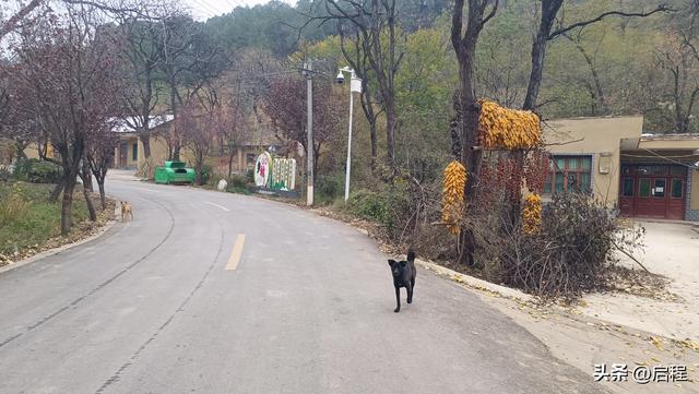 临潼区山村一游