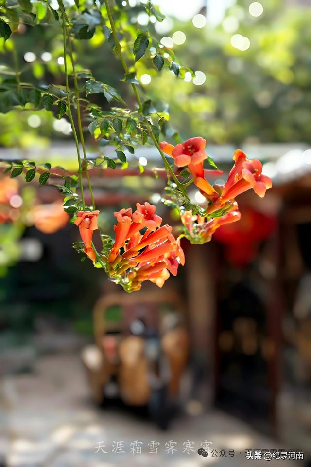 商丘电厂家属院