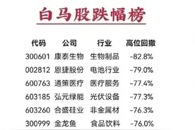抱团白马股跌幅榜，跌幅均在73%以上，个别已出现止跌迹象图片