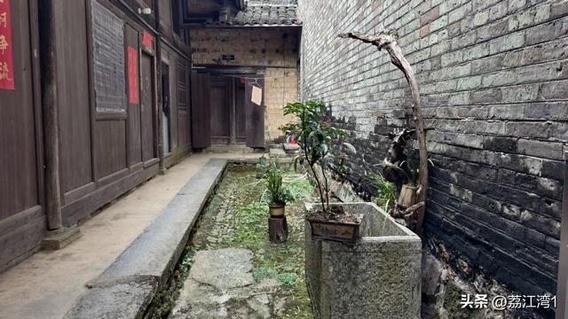 金叶映古村，醉美长岗岭