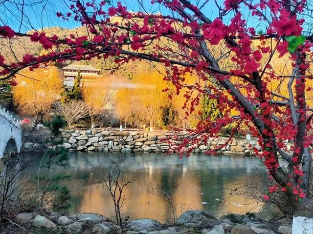 精彩继续！赤山庙会延期，女士优惠也来啦~