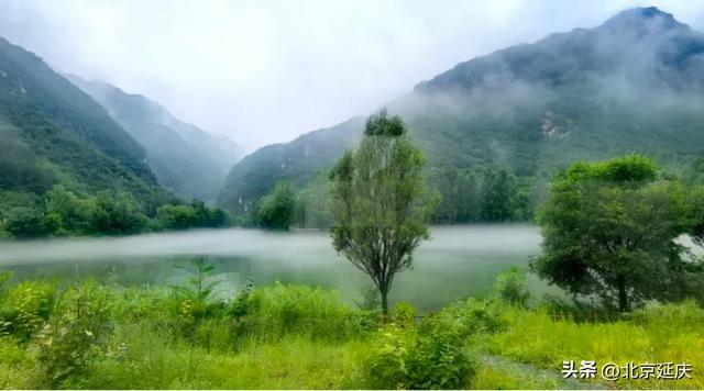 雨后延庆,氛围感MAX——