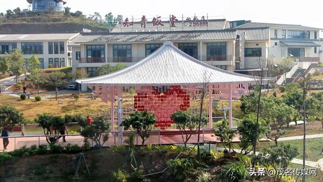 茂名520公园甜蜜上线！荔枝IP+婚俗改革，解锁粤西浪漫新地标