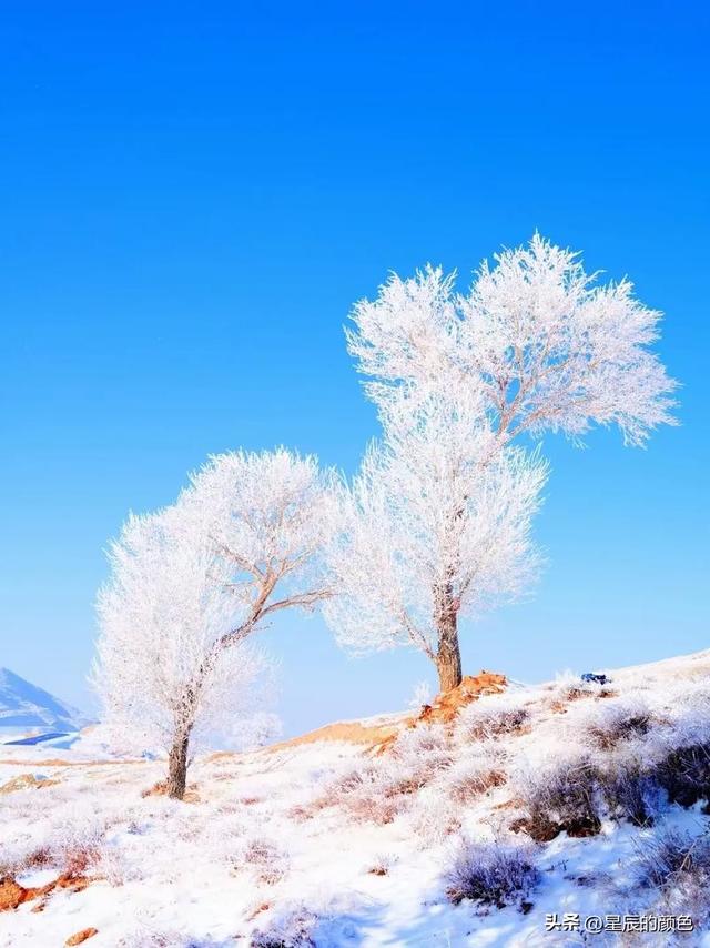 “冷不冷，就看九月十三”，今天九月十三，今冬有多冷？答案来了