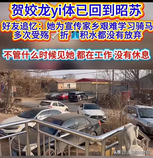 网友偶遇送贺娇龙回昭苏车队 用机器维持心跳 强撑见家人最后一面