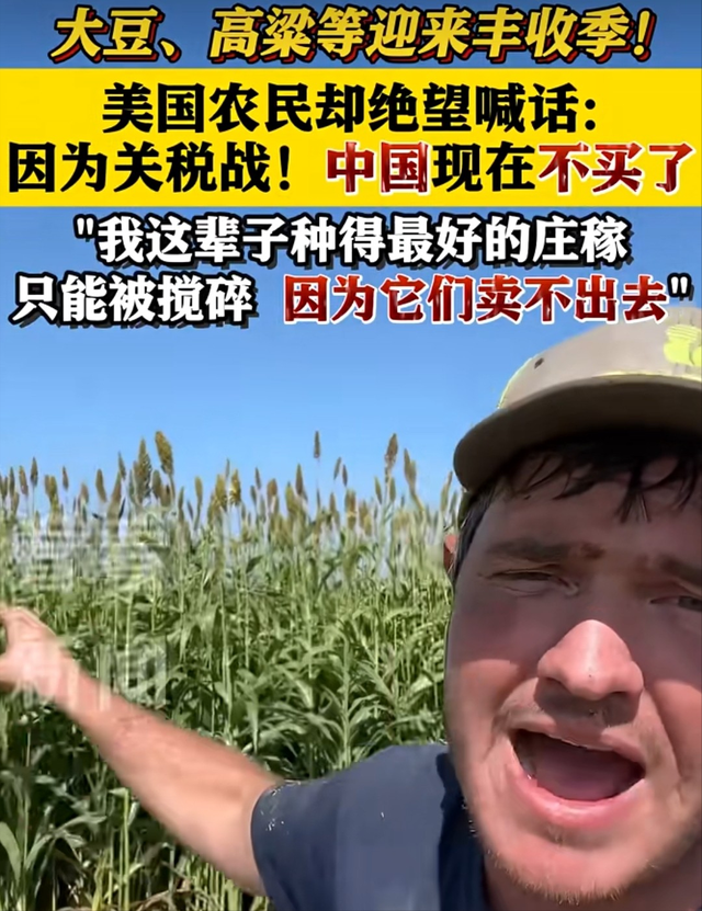 特朗普刚签署，白宫紧急澄清！美国豆农没有收到中国订单，急了！