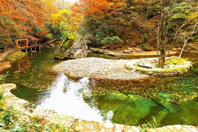 初冬梨平，是秋意没藏好的温柔