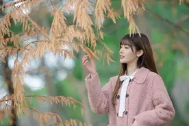 《新任官途，我成了市场红人》（王子枫袁雯洁）最新章节阅读图片