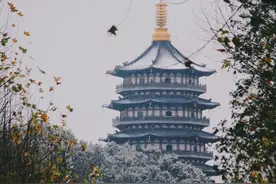 苏州和杭州谁更强，苏州人口约1295万，GDP约2.46万亿，杭州呢图片