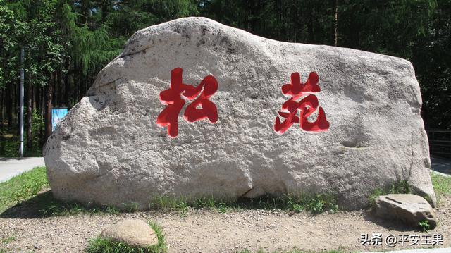 漠河归来说漠河（九）不堪回首的“五月六日”
