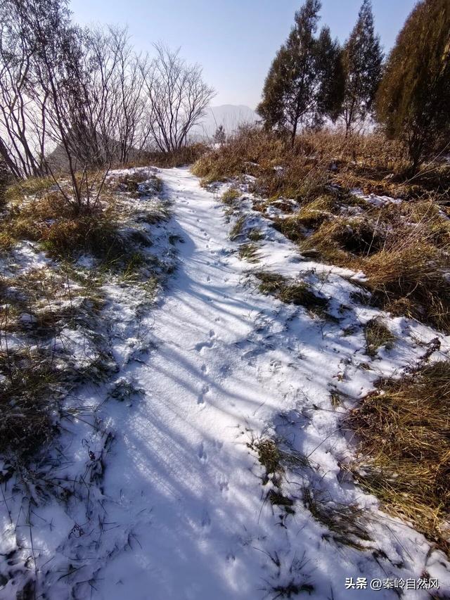雪后初霁登顶嵯峨山，走荒野雪原，看千年悟空塔，感受历史的烟云