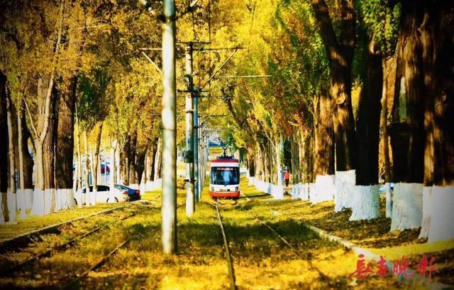 跟着央视镜头，一起去看长春秋日盛景