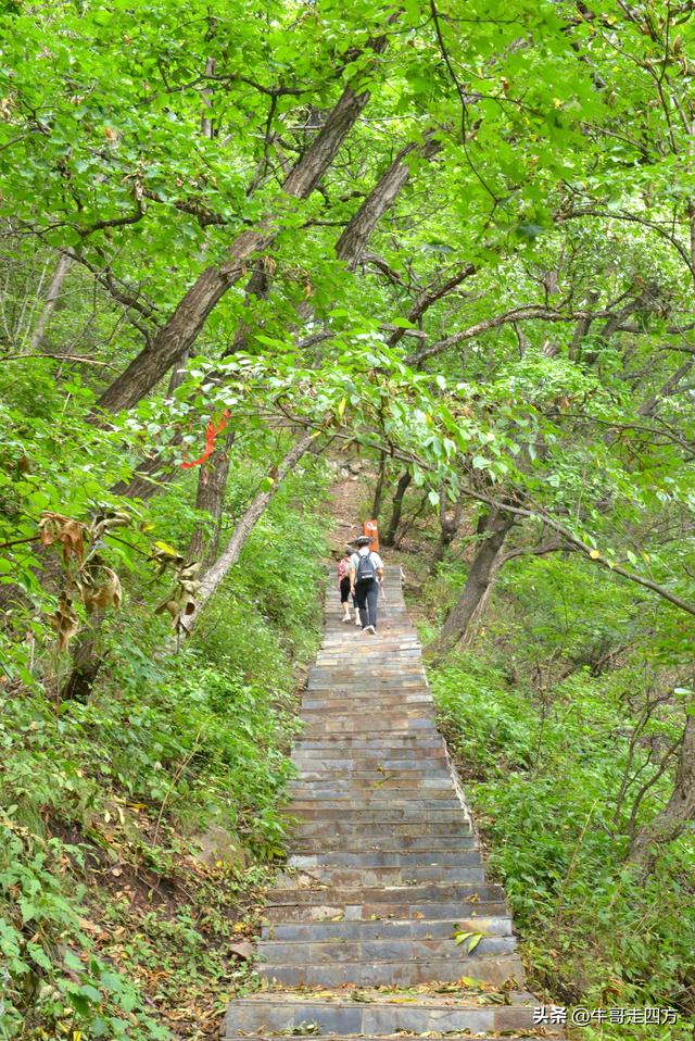 河北百草畔（上）：风动孤石悬险韵，蚁巡深岭蕴生机