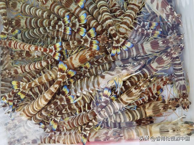 琼海暖冬旅居指南